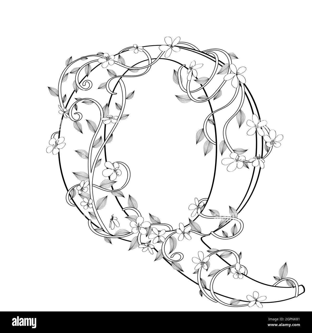 Croquis floral de la lettre Q. Illustration de Vecteur