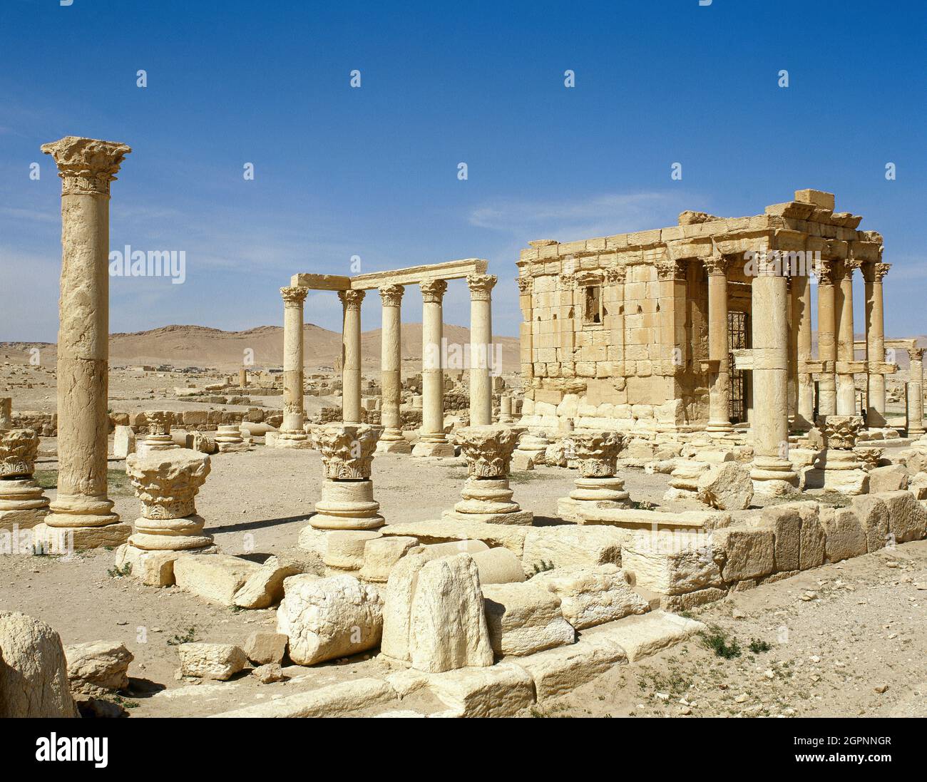 Syrie, Palmyra. Ancienne ville, déjà documentée dans le 2ème millénaire. Vue générale du Temple romain consacré à Baalshamin, dieu des cieux. 1er siècle après J.-C. (Oasis de Tadmor). (Photo prise avant sa destruction par l'État islamique en 2015, pendant la guerre civile syrienne). Banque D'Images