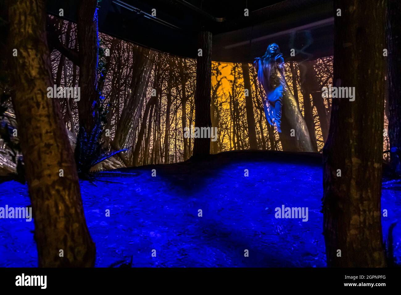 Au musée Archipellago à Faaborg. Une visite est fortement recommandée comme prélude à une randonnée des mers de l'île. Il s'agit de la formation de ce paysage mondial unique de l'âge des glaces et inclut l'effet de la nature sur les humains. Faaborg-Midtfyn, Danemark Banque D'Images