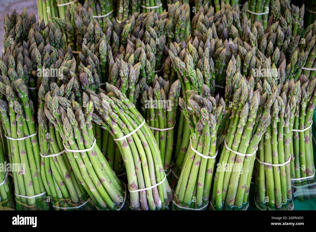 Petits pains d'asperges fraîches à vendre sur un marché. Banque D'Images