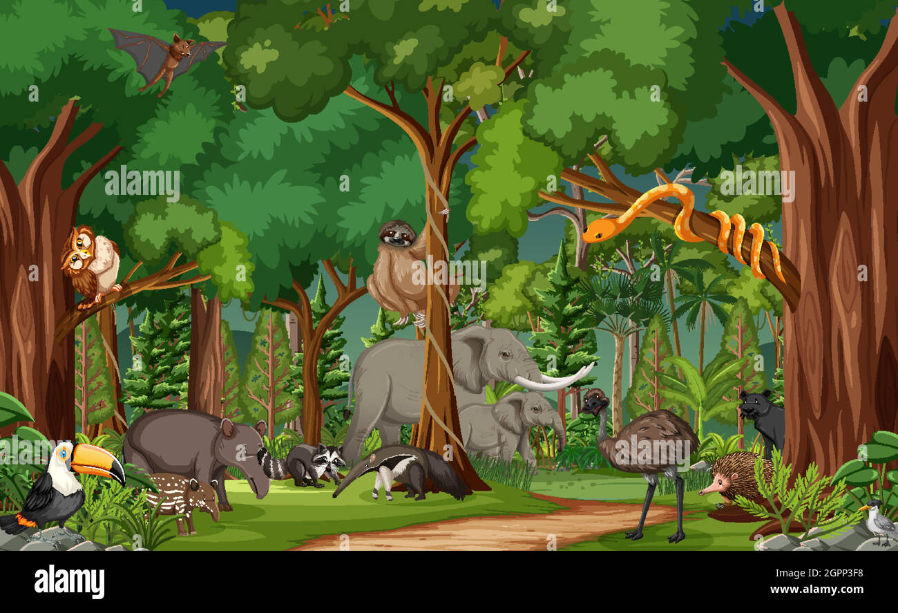 Personnage de dessin animé animal sauvage dans la scène de la forêt Illustration de Vecteur