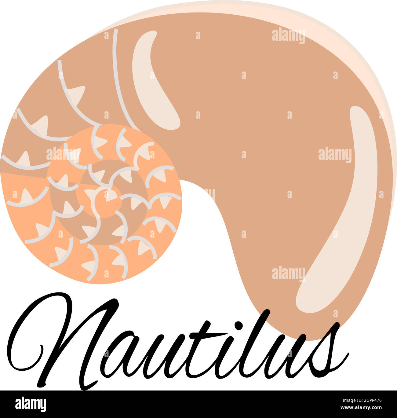 Nautilus Illustration de Vecteur