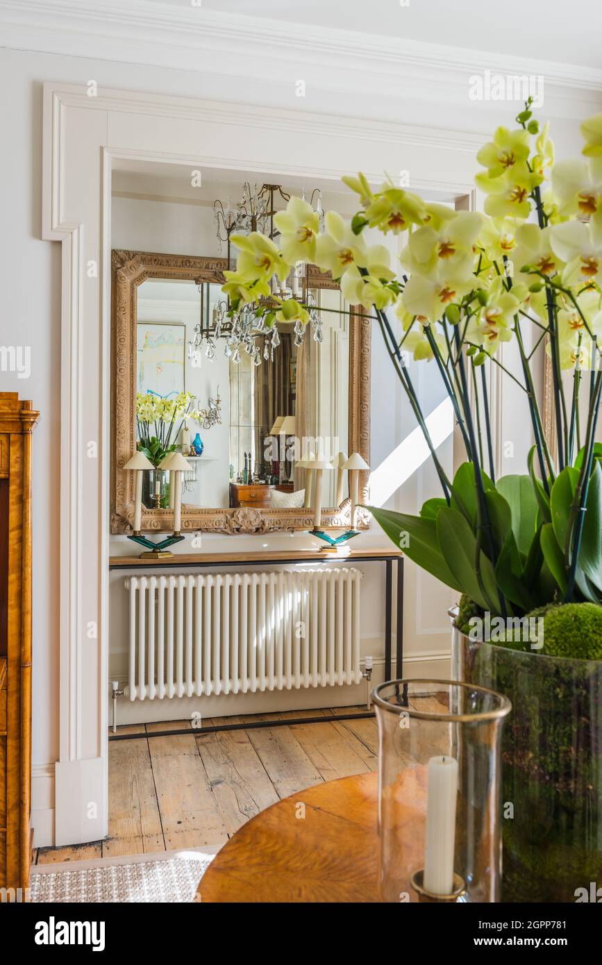 Miroir en chêne blanchi ancien au-dessus de la console avec grande orchidée dans la maison de ville Regency rénovation, Londres Banque D'Images
