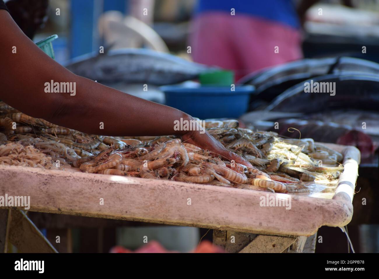 Vente de poisson sur le marché Banque D'Images