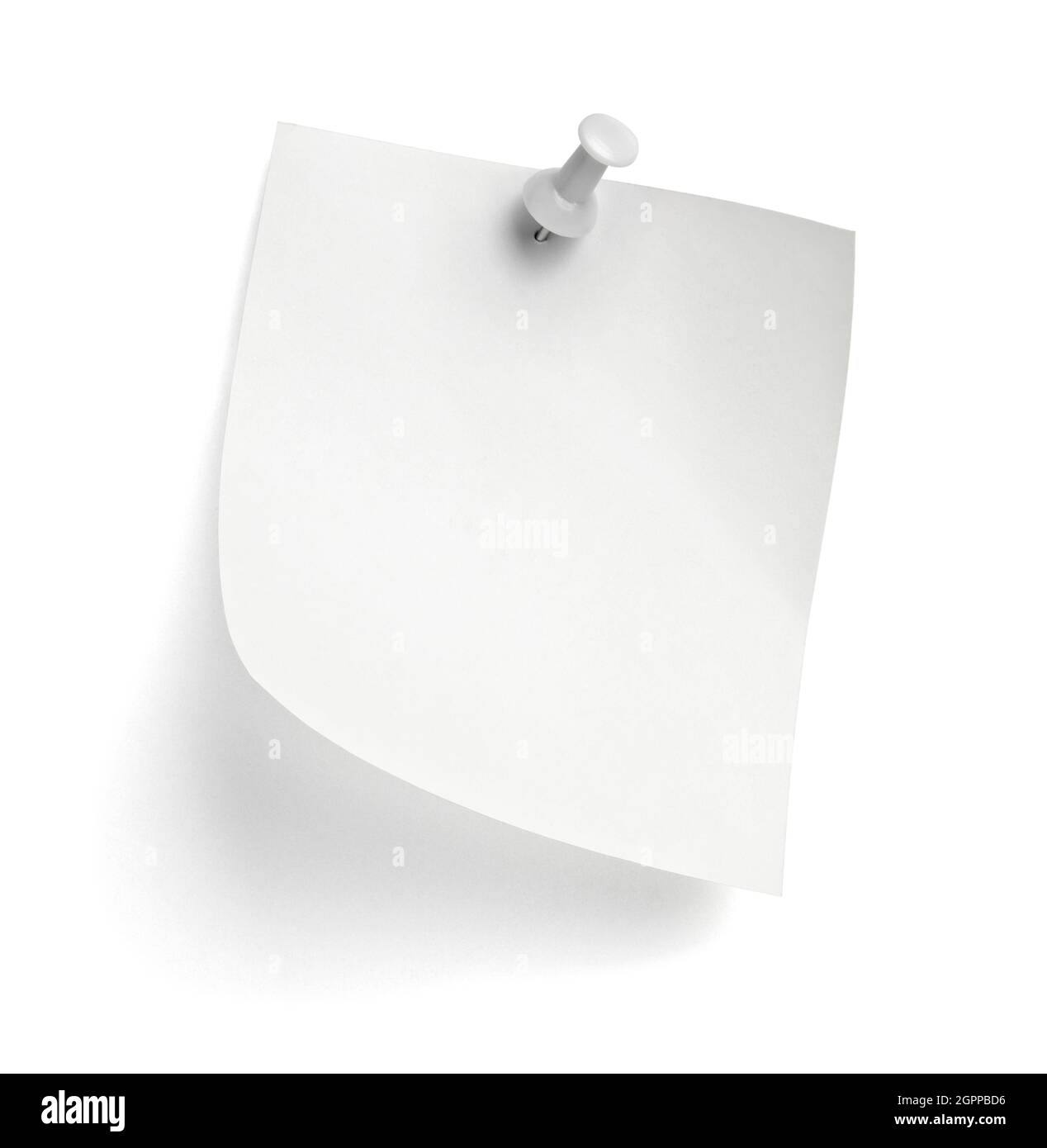 notez le message « punaise » sur papier rouge blanc noir Banque D'Images