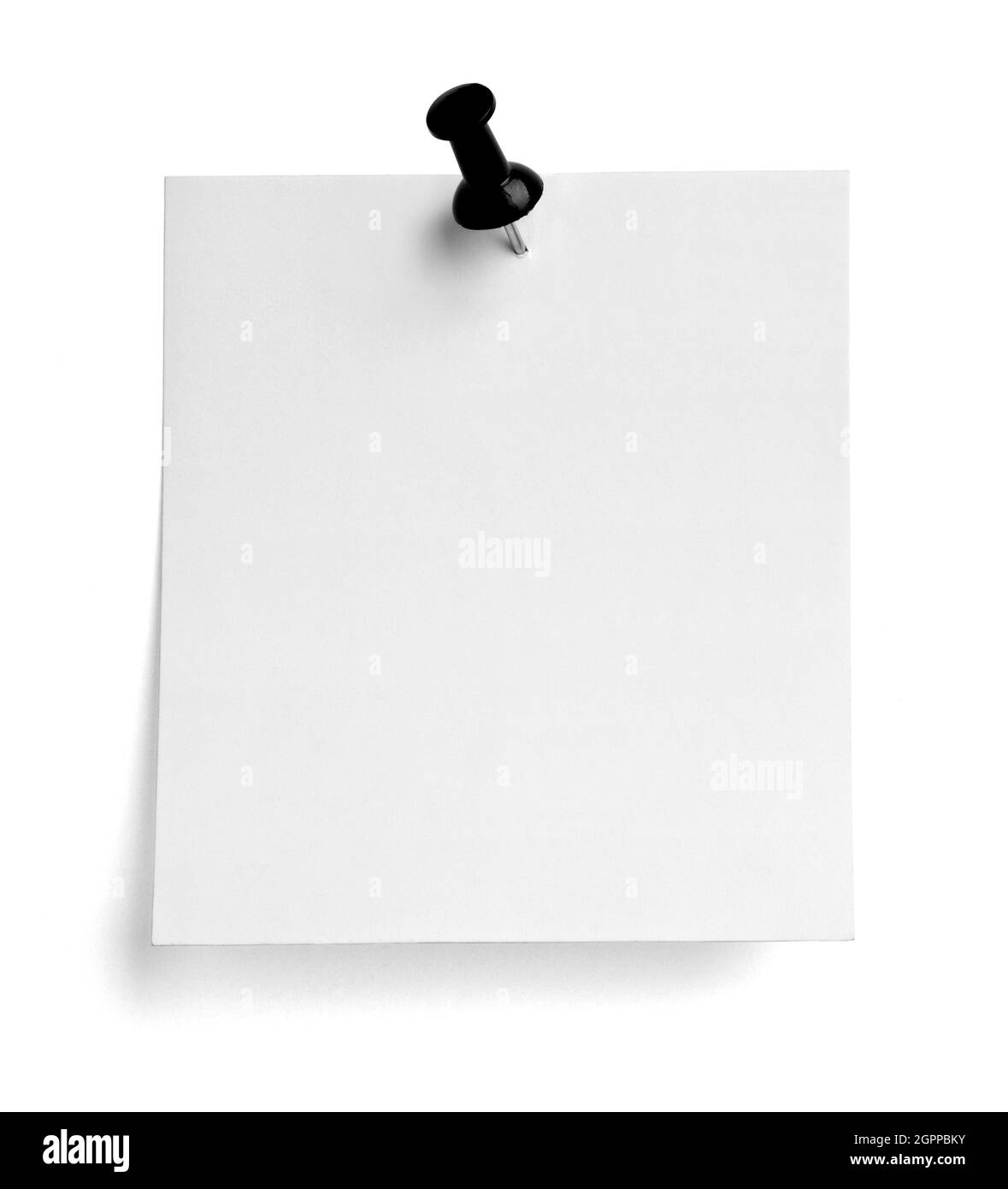 notez le message « punaise » sur papier rouge blanc noir Banque D'Images