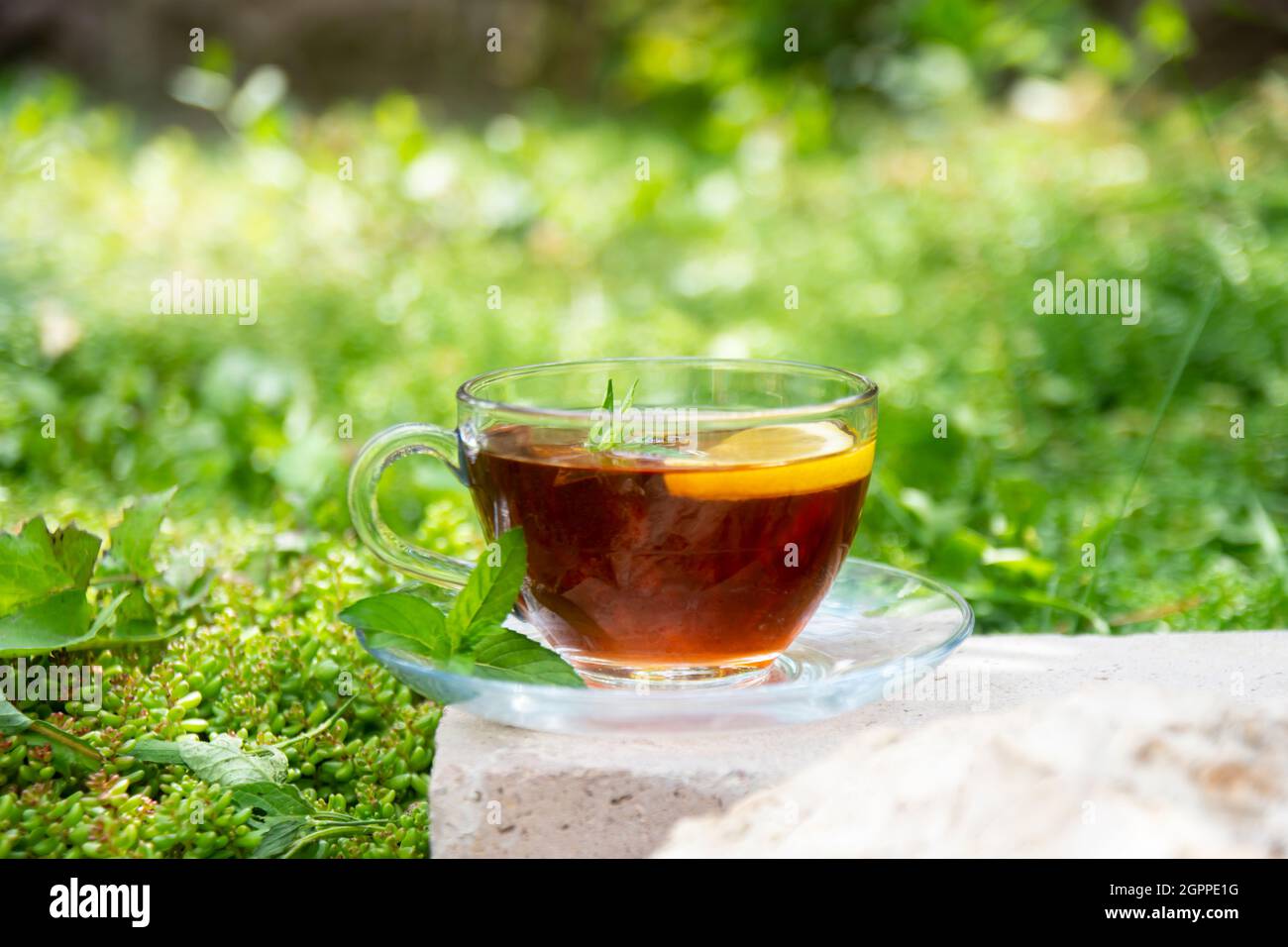 Le thé en fleur se dresse sur une pierre dans le jardin, servi avec des feuilles de citron et de menthe fraîche..verre à focalisation sélective Banque D'Images