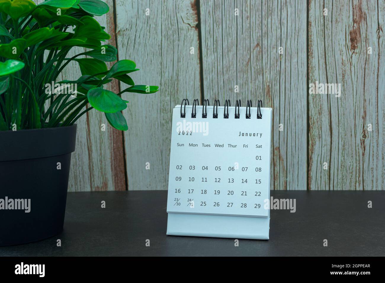 Calendrier blanc de janvier 2022 avec plante en pot. Concept du nouvel an 2022 Banque D'Images