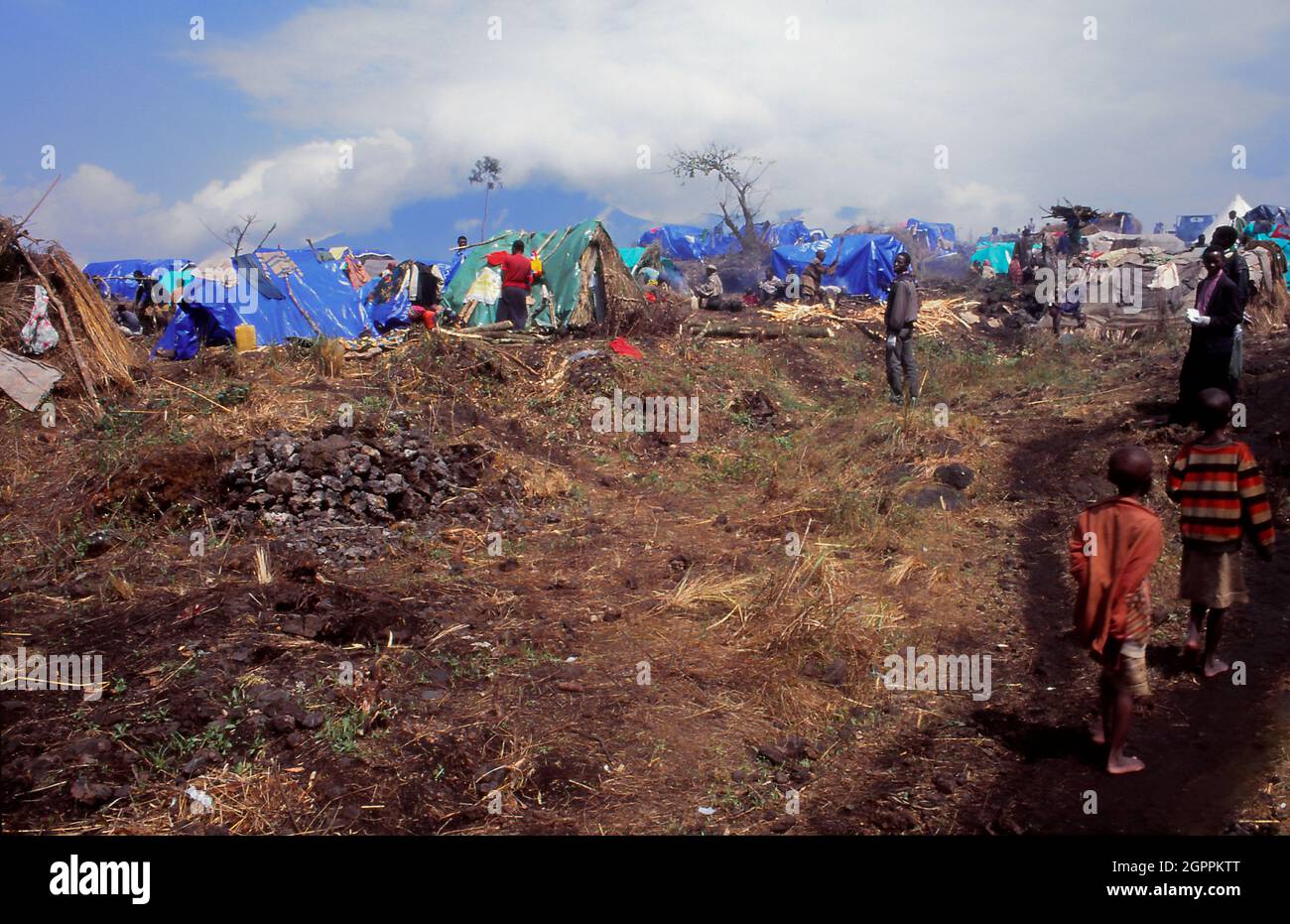 Les réfugiés rwandais fuyant le génocide et la guerre civile au Rwanda voisin attendent dans un camp de réfugiés de Goma, en République démocratique du Congo. Banque D'Images