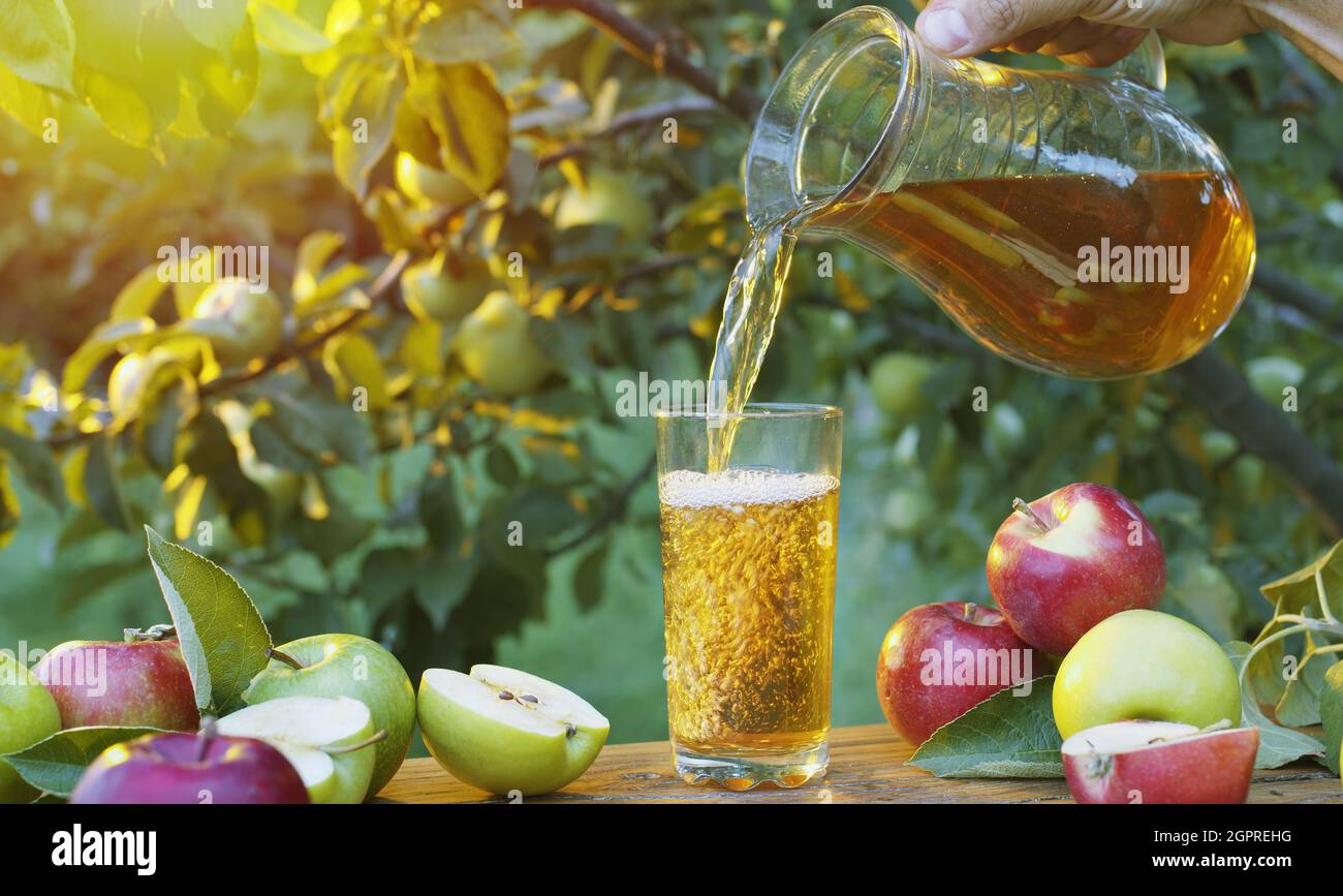 Verser le jus de pomme dans le verre. Pommes fraîches biologiques et verre de jus de pomme sur une table en bois dans le jardin du verger d'été. Banque D'Images