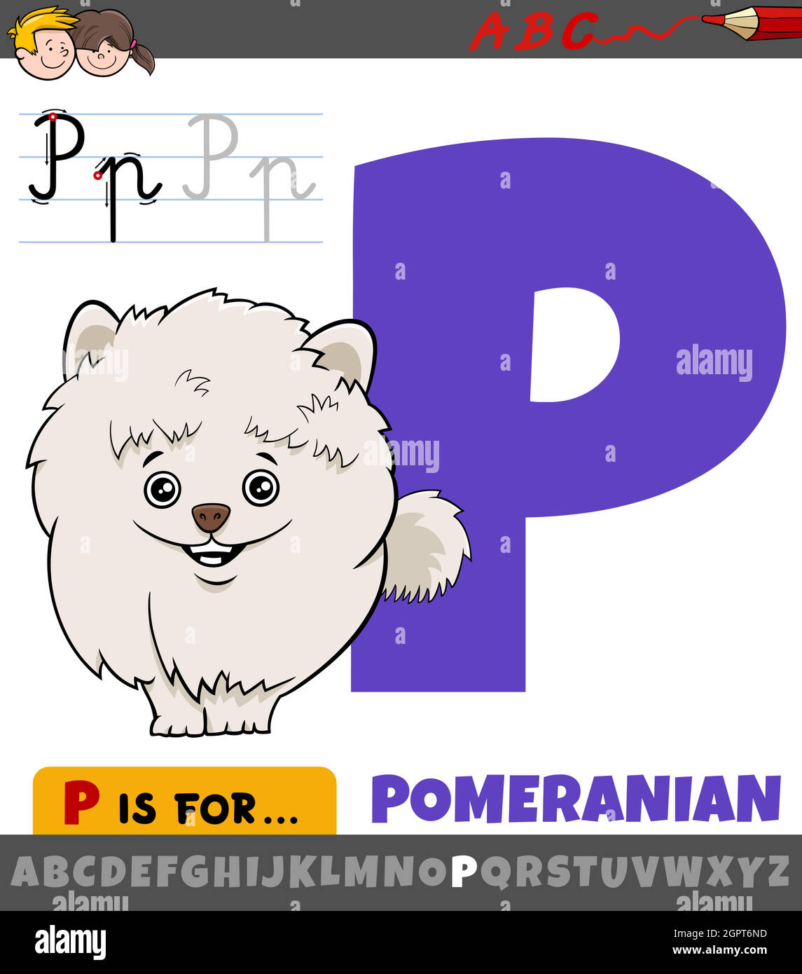 Lettre P de l'alphabet avec le personnage de chien pomeranian de dessin animé Illustration de Vecteur