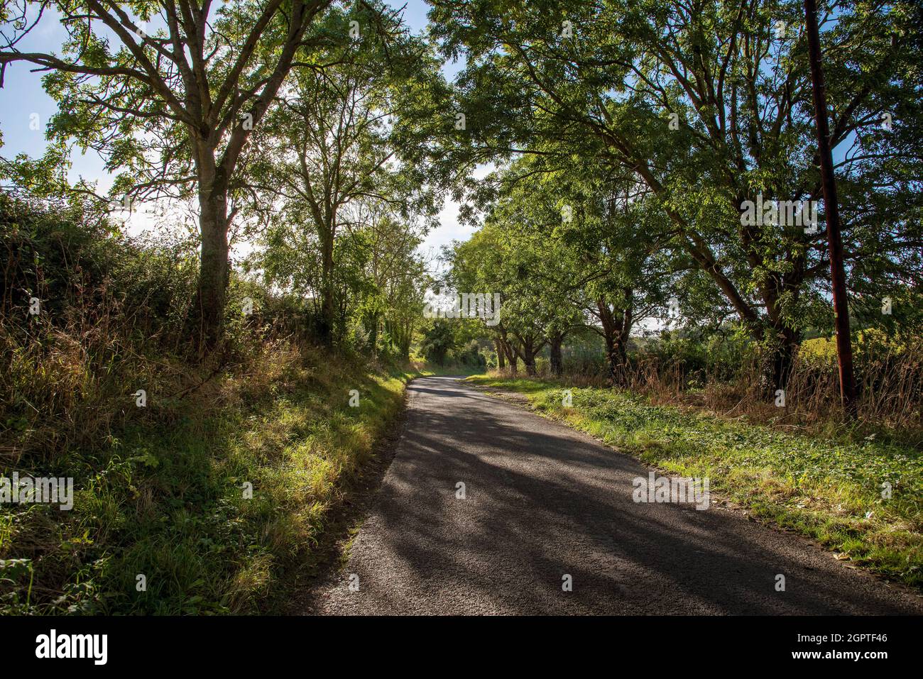 Hampshire, Angleterre, Royaume-Uni. 2021. La lumière du soleil en fin d'après-midi brille à travers les arbres sur une voie de campagne au début de l'automne dans le Hampshire, Royaume-Uni Banque D'Images