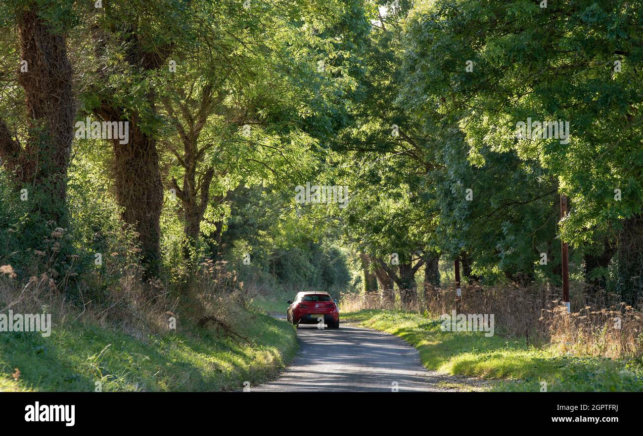 Hampshire, Angleterre, Royaume-Uni. 2021. La lumière du soleil en fin d'après-midi brille à travers les arbres sur une voie de campagne au début de l'automne dans Hampshire, Royaume-Uni, voiture conduite le long de t Banque D'Images