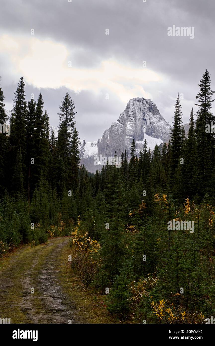 Commonwealth Peak, parc provincial Spray Valley, pays de Kananaskis, Alberta, Canada, Banque D'Images