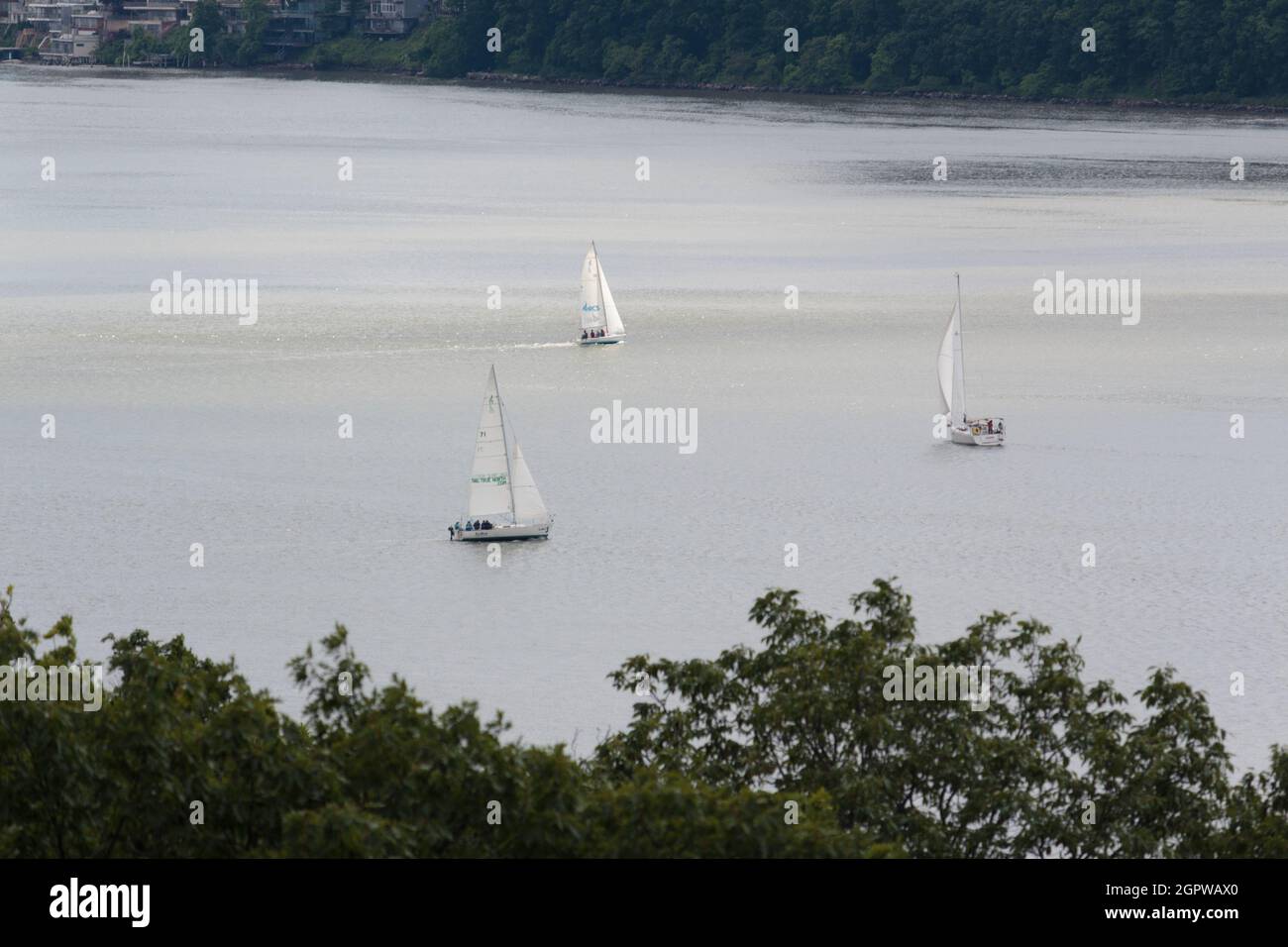 voiliers sur le fleuve Hudson vue de dessus les arbres dans fort Tryon Park dans le nord de Manhattan, New York Banque D'Images