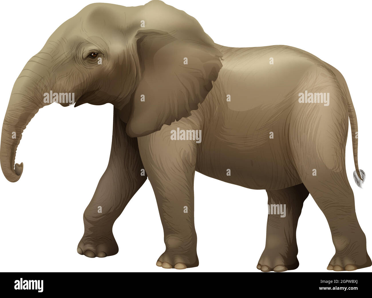 L'éléphant d'Afrique Illustration de Vecteur