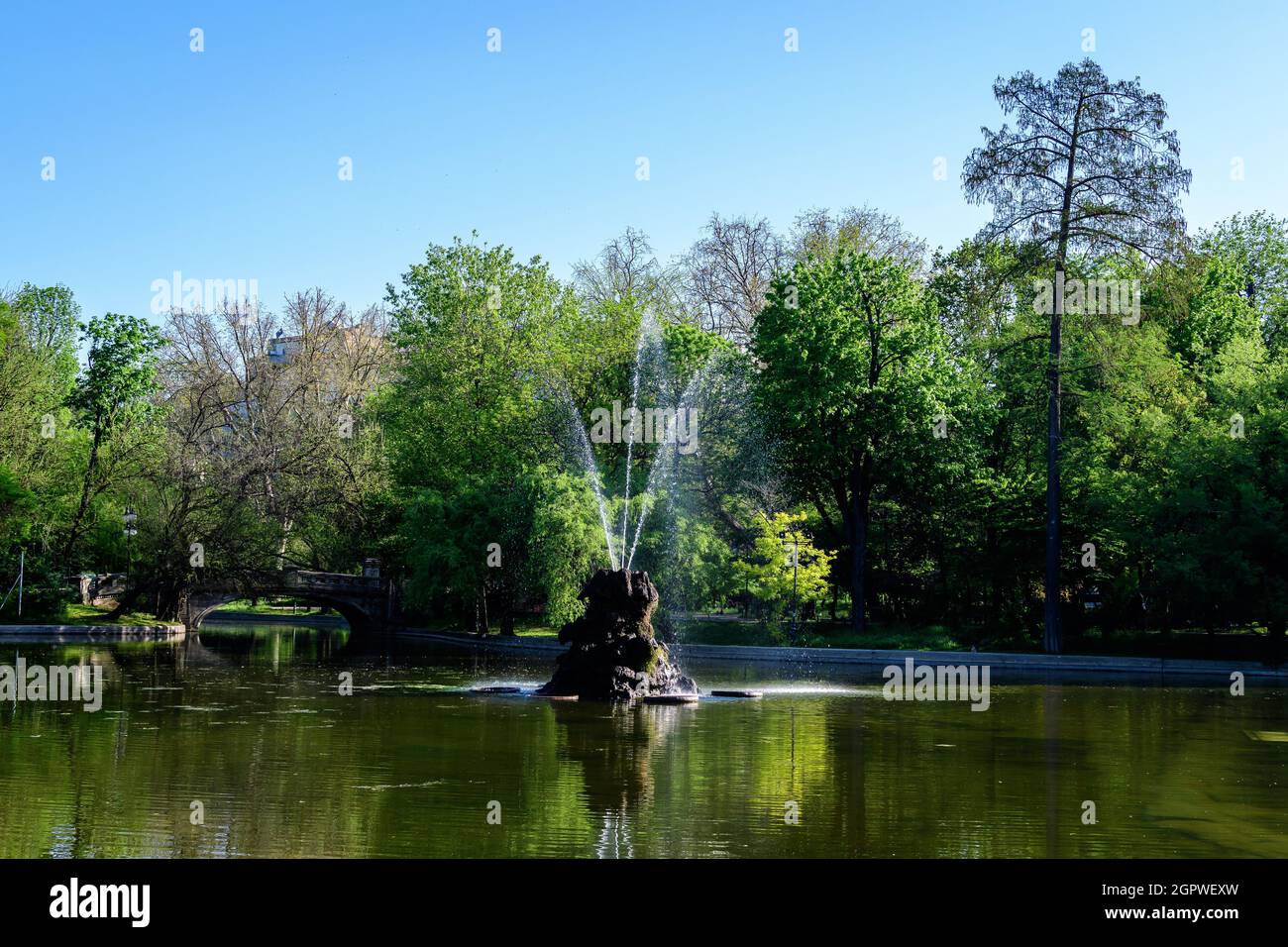 Paysage vert vif avec de vieux grands tilleuls et des feuilles vertes près du lac dans le jardin de Cismigiu (Gradina Cismigiu), un parc public dans la ville cent Banque D'Images