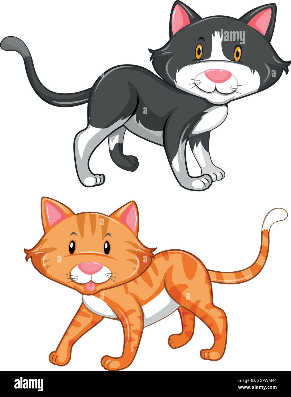 Deux chats mignons sur fond blanc Illustration de Vecteur