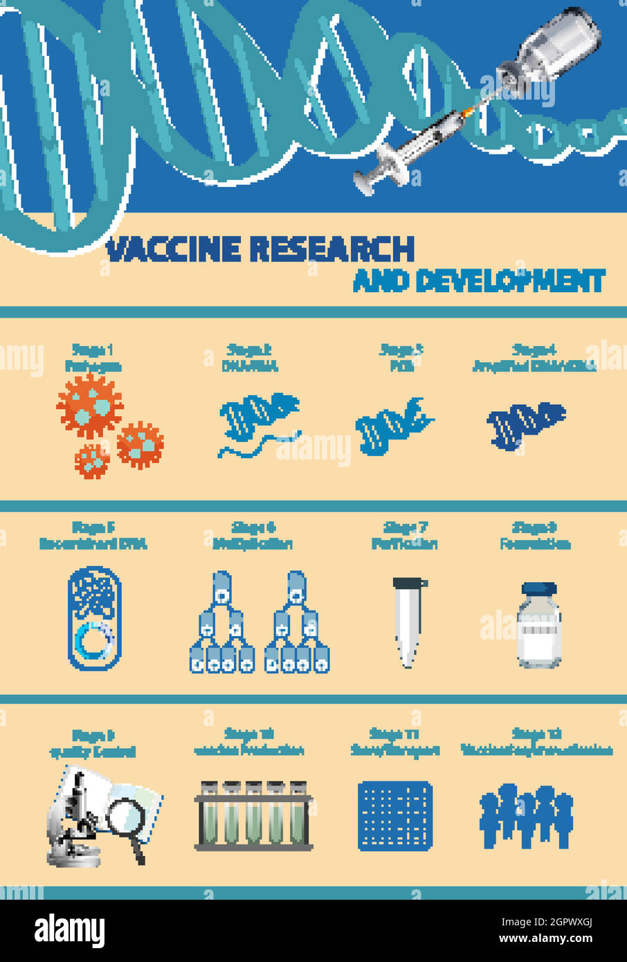 Infographie sur la recherche et le développement de vaccins Illustration de Vecteur