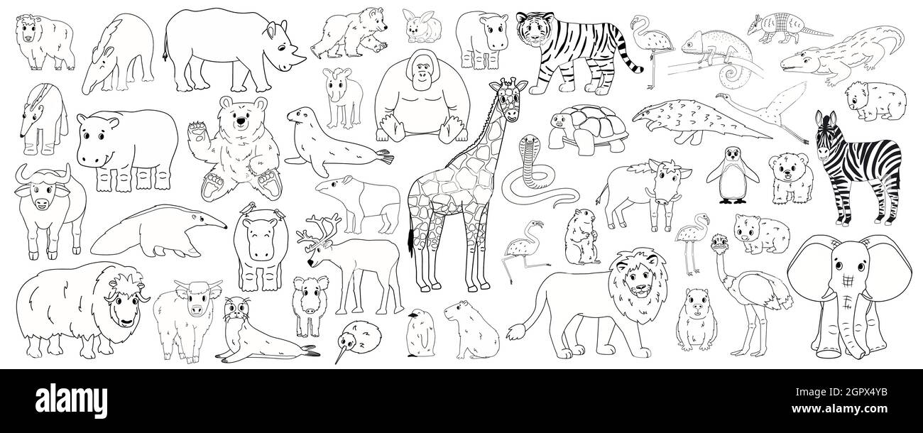 Animaux savane à colorier Banque d'images détourées - Alamy