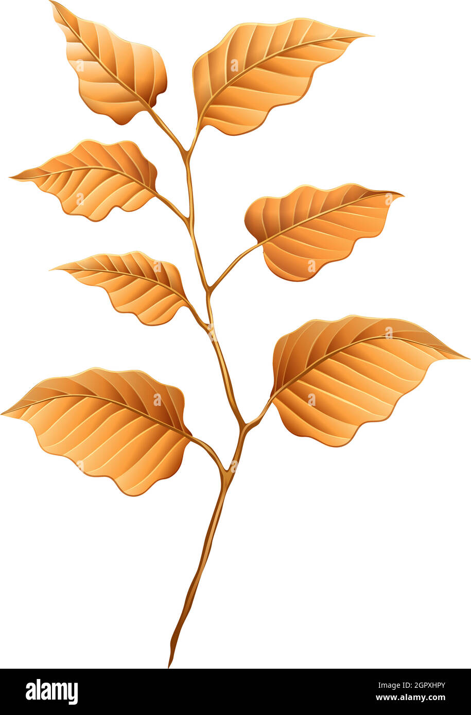 Feuilles marron Illustration de Vecteur