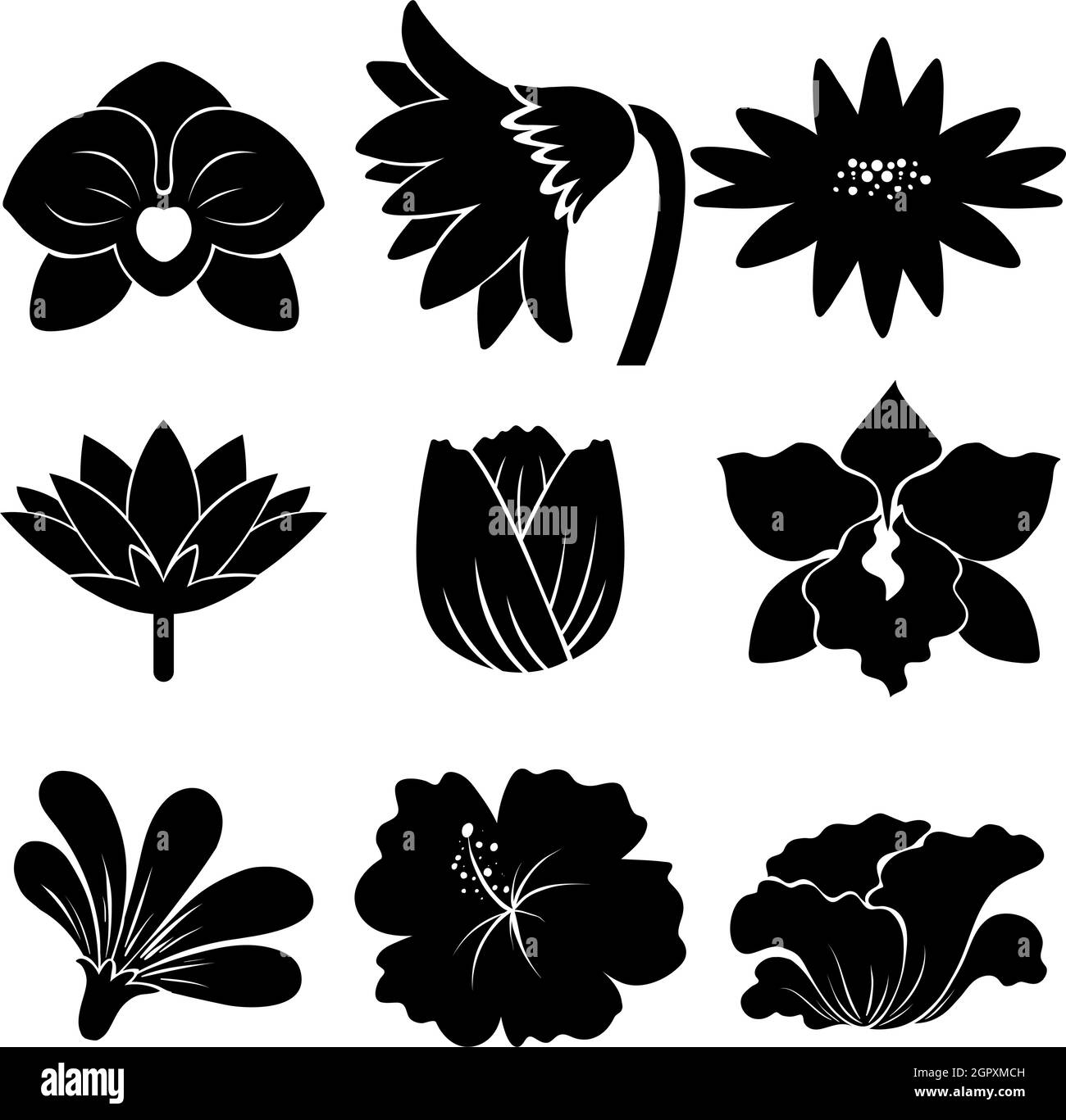 Ensemble de fleurs noires Illustration de Vecteur