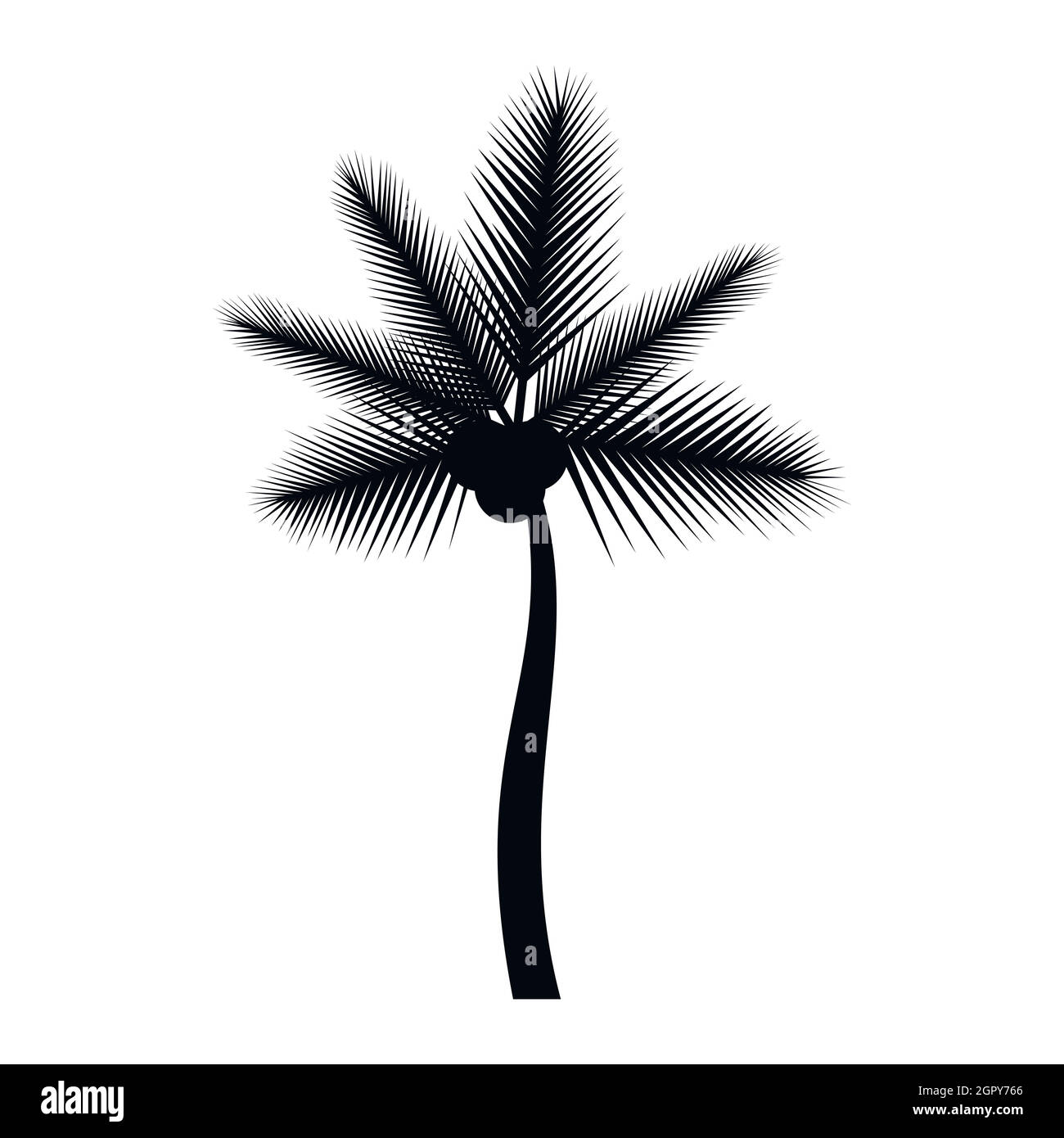 Butia capitata palmier, icône de style simple. Illustration de Vecteur Butia capitata palmier, icône de style simple. Illustration de Vecteur