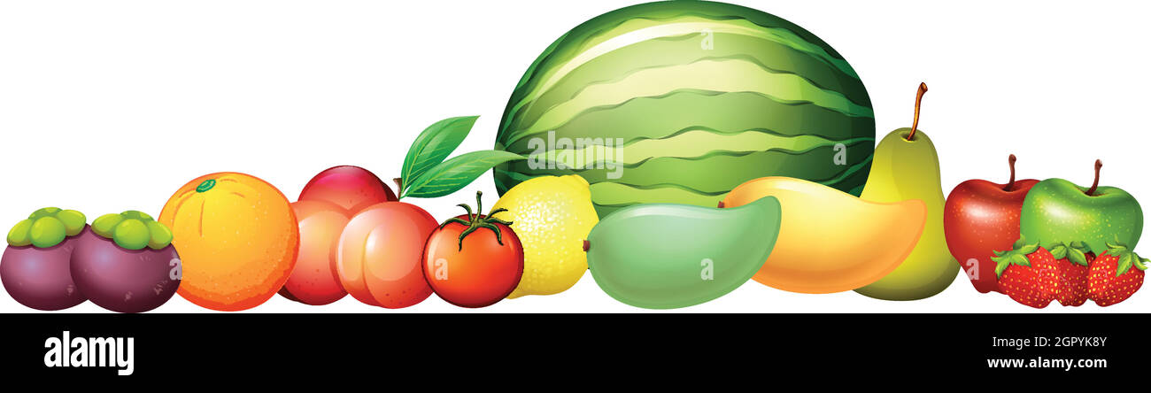 De nombreux types de fruits frais Illustration de Vecteur