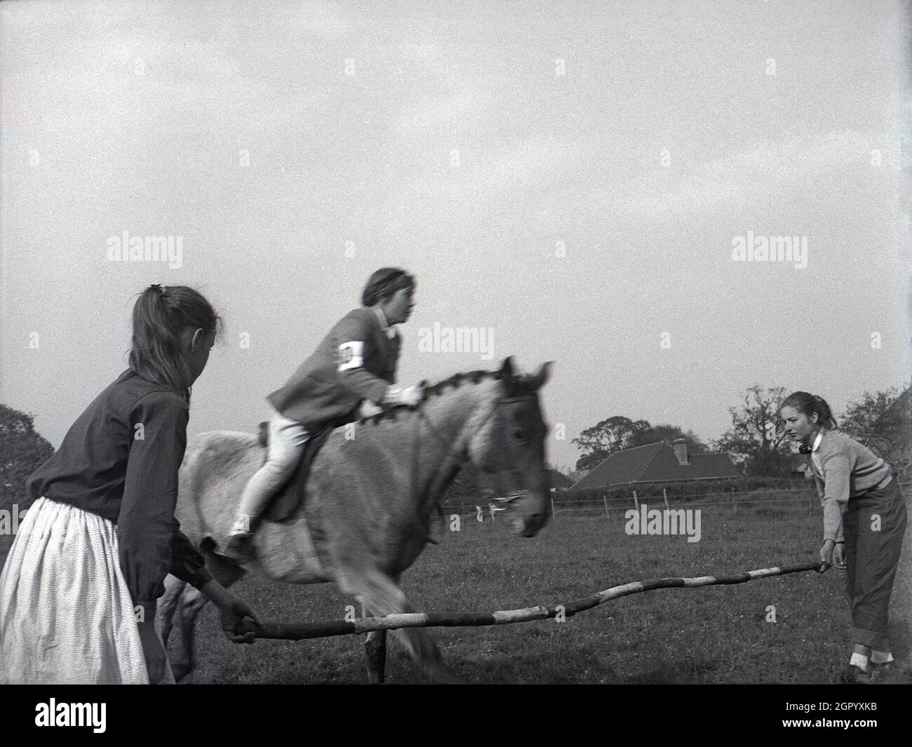 Cavalier de saut de cheval Banque de photographies et d’images à haute résolution - Alamy