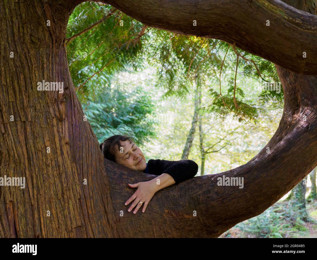 Femme embrassant un arbre, New Forest, Royaume-Uni Banque D'Images