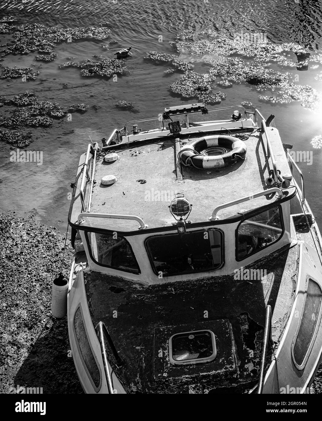 Un vieux bateau à la peinture décolorée est aginé dans la boue à marée basse. Une ceinture de sauvetage se trouve sur le toit et un mouette se trouve dans l'eau peu profonde. Banque D'Images