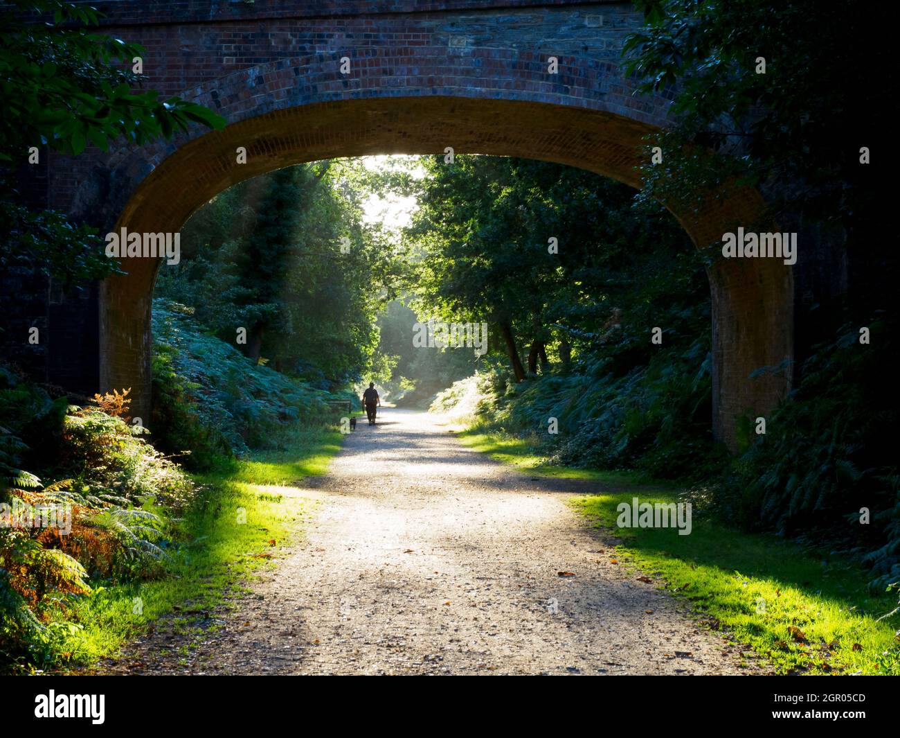 Homme et chien en train de faire une promenade le soir le long d'une voie ferrée démontée près de Wootton, New Forest, Hampshire, Royaume-Uni Banque D'Images