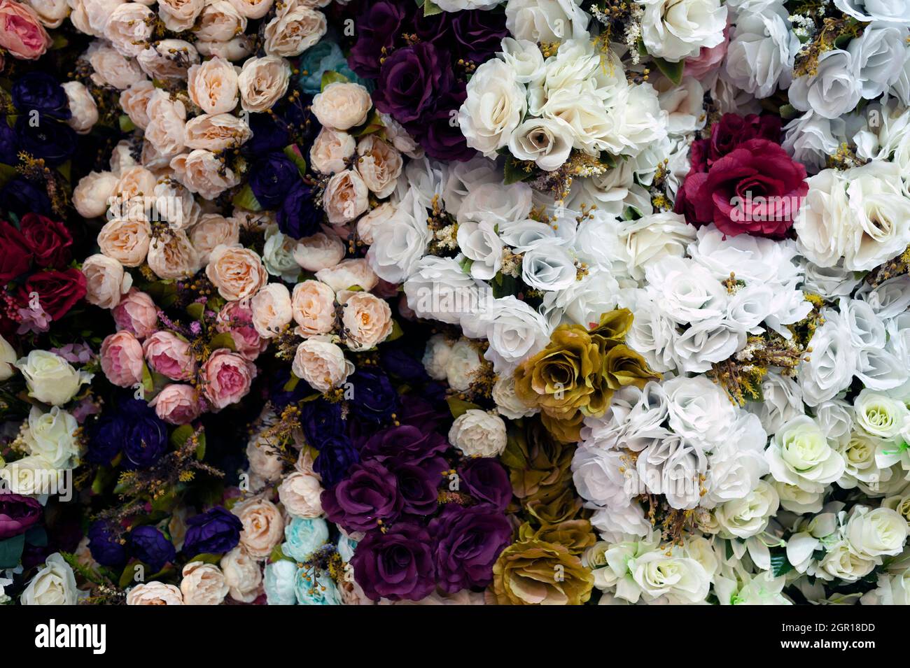 Fleurs colorées bordées Banque D'Images