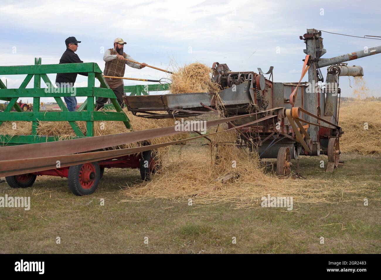 Des hommes déchargeant l'orge récoltée du wagon vers la machine de battage antique McCormick - Deering pour séparer le grain de la paille, Alberta, Canada Banque D'Images