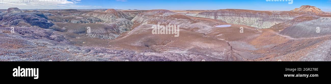 Vue panoramique sur les collines de bentonite le long du sentier de la Forêt Bleue dans le parc national de la Forêt pétrifiée. Une piscine d'eau solitaire est visible juste Banque D'Images