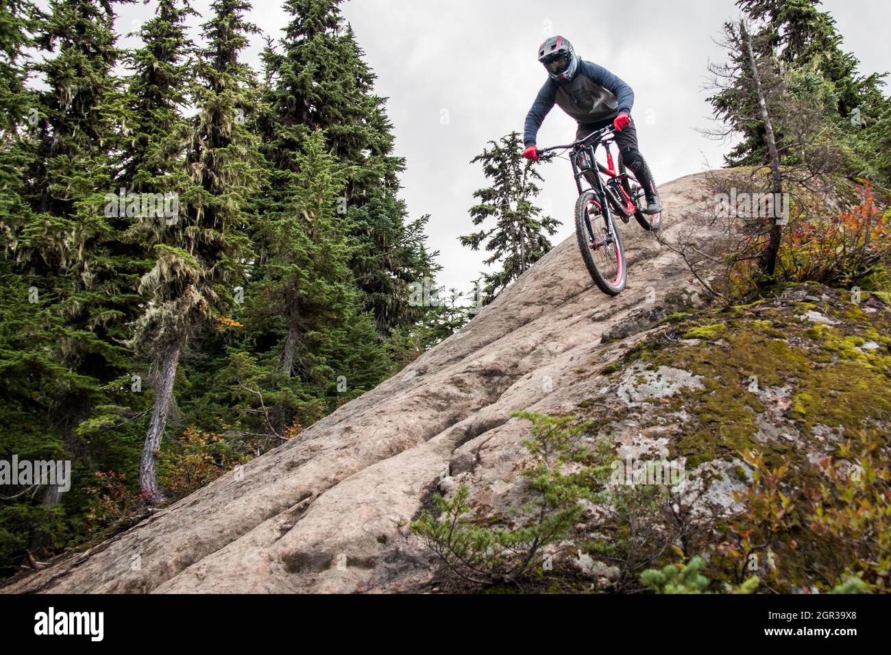Whistler Bike Park O Sin Trail automne 2019 Banque D'Images
