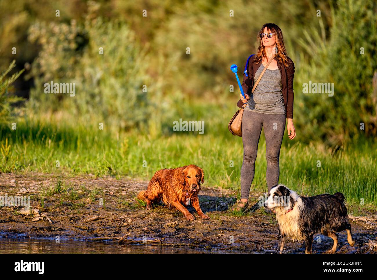 Jeunes femmes jouant avec ses chiens sur la rive de la rivière Banque D'Images