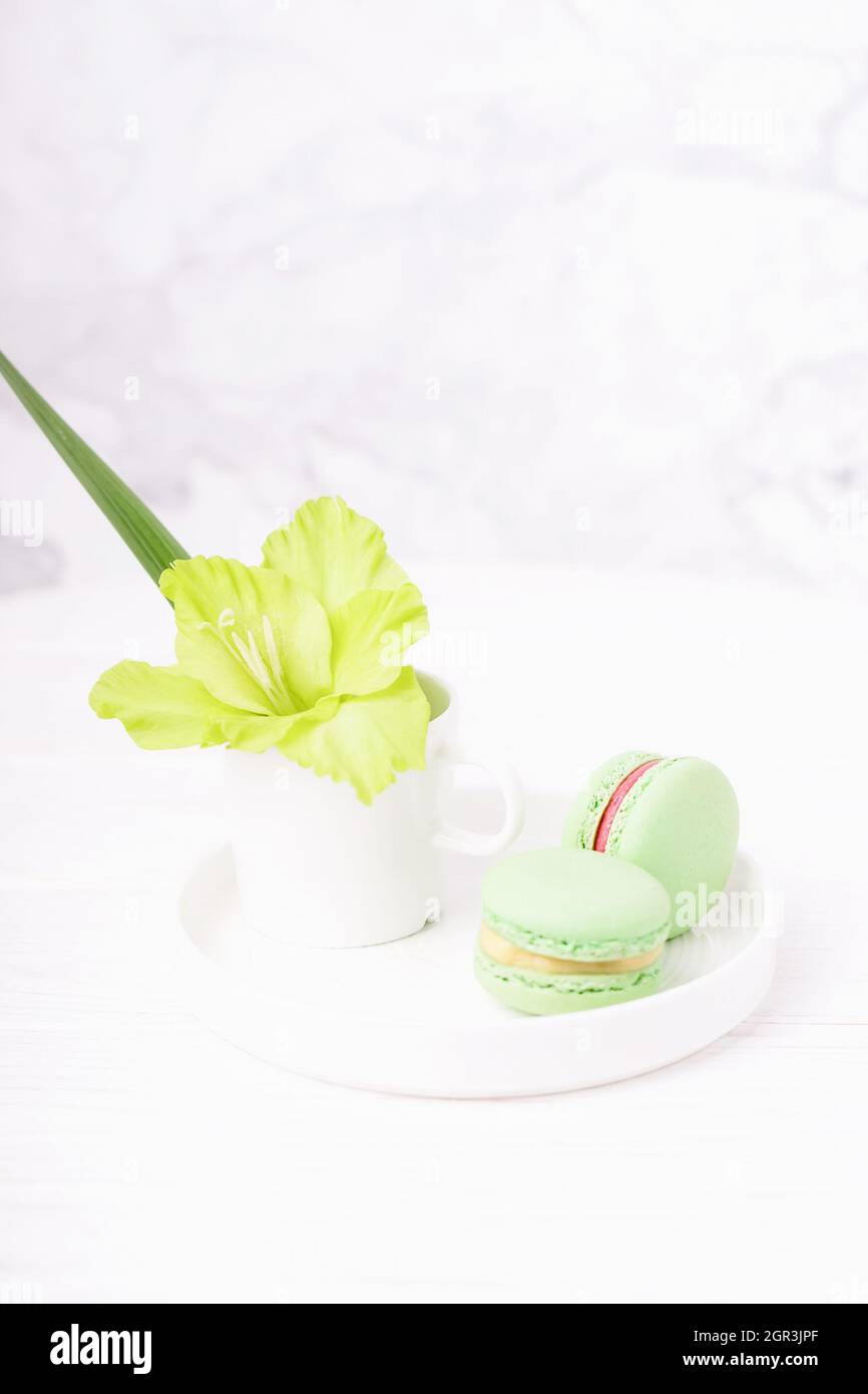 Macarons à la menthe verte et fleur de gladiolus verte sur fond de marbre blanc, espace de copie Banque D'Images