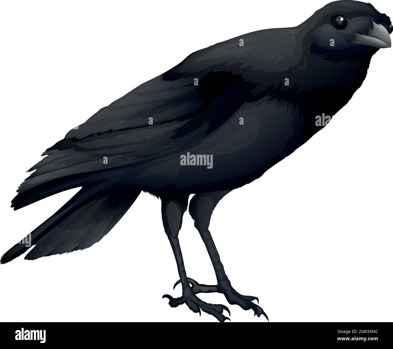 Un corbeau Illustration de Vecteur