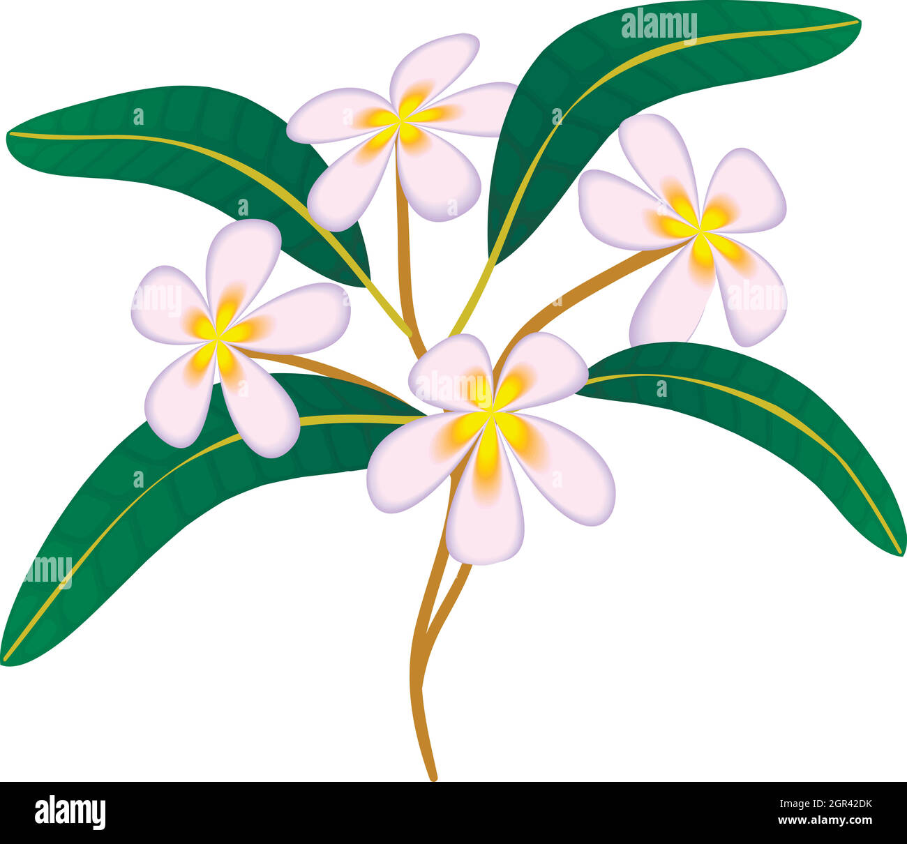 Plumeria Flower, icône de style cartoon Illustration de Vecteur Plumeria Flower, icône de style cartoon Illustration de Vecteur