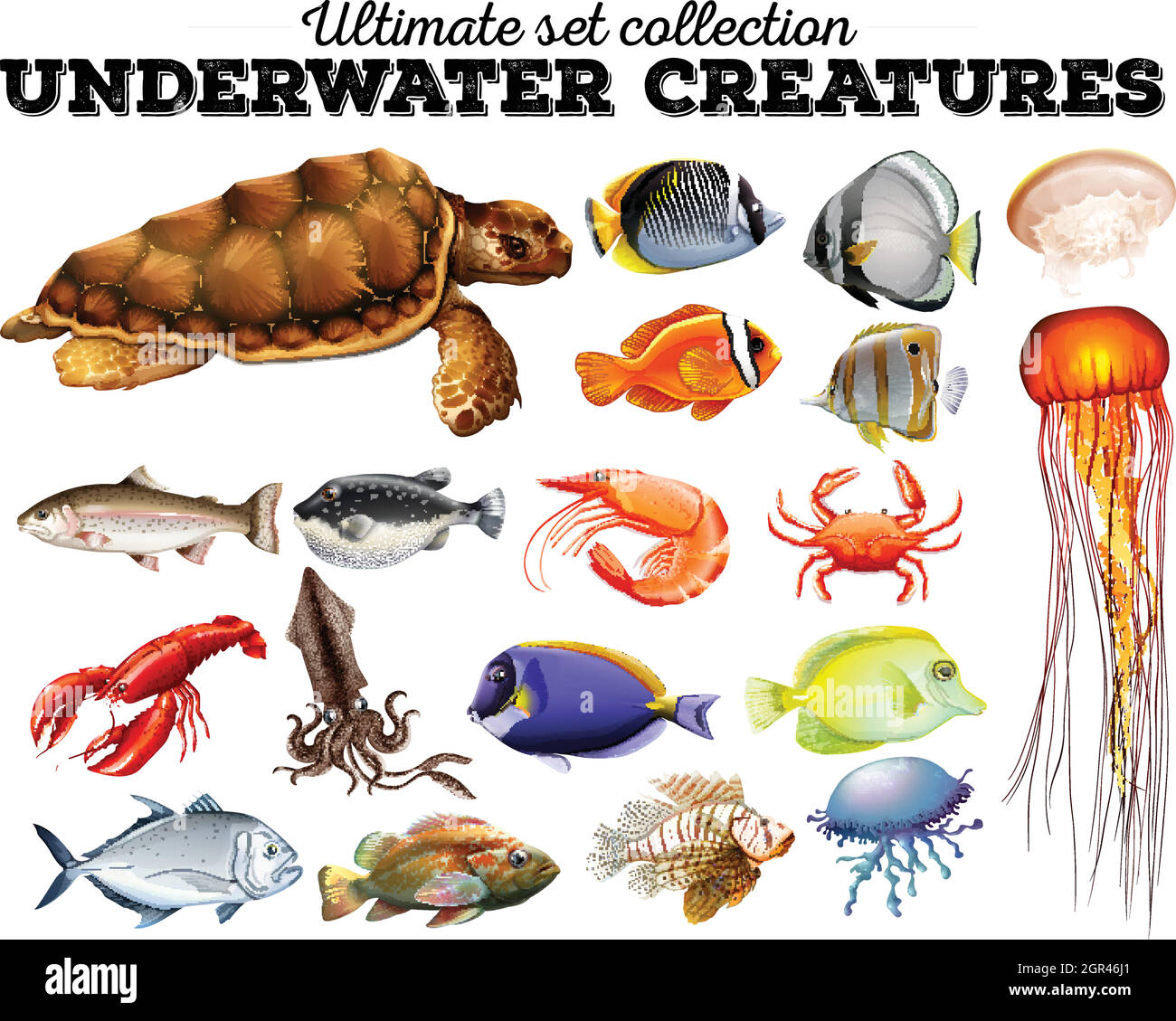 Différents types d'animaux marins Illustration de Vecteur