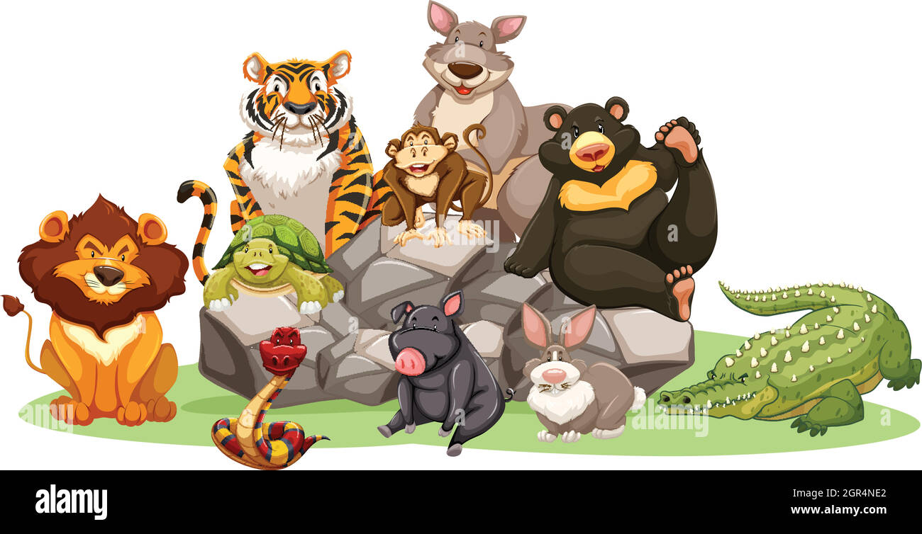 Différents types d'animaux sauvages sur la roche Illustration de Vecteur