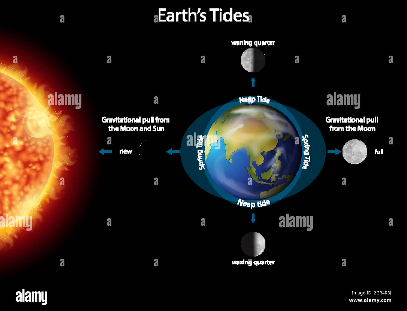 Schéma montrant les marées terrestres avec la terre et le soleil Illustration de Vecteur
