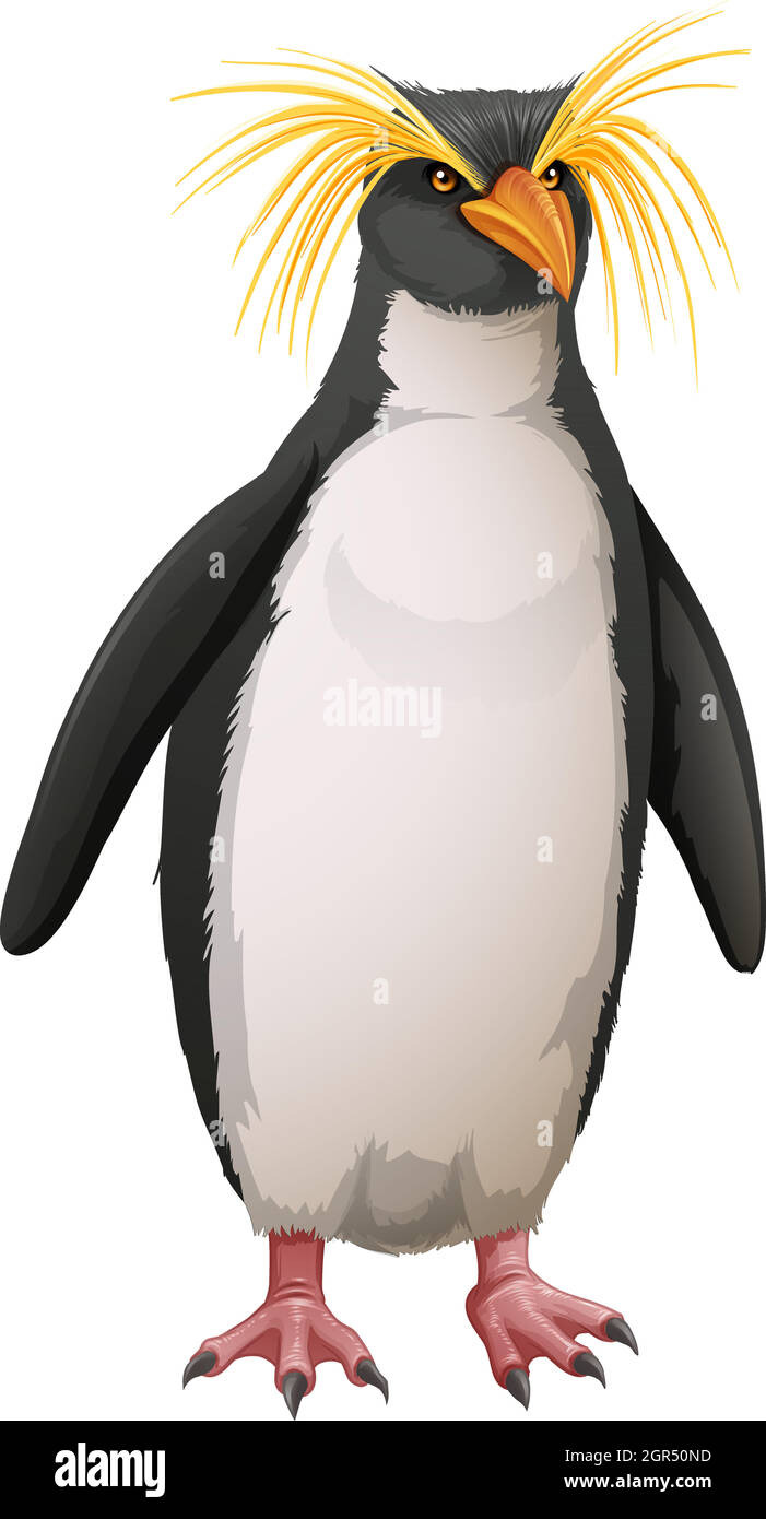 Rockhopper Penguin Illustration de Vecteur