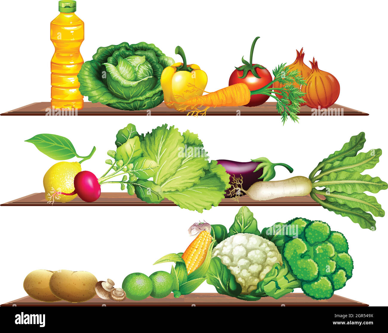 Légumes frais et huile sur la grille Illustration de Vecteur