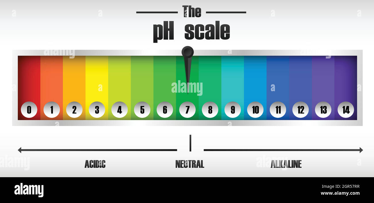 Le diagramme de l'échelle de ph Illustration de Vecteur