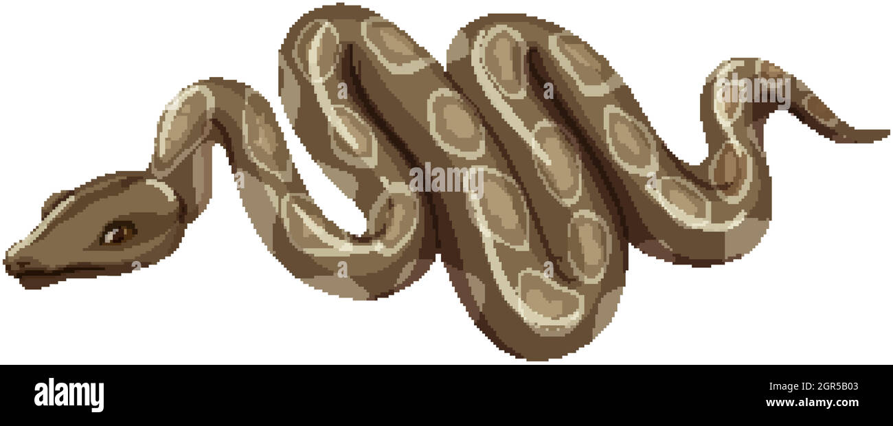 Un serpent de style dessin animé isolé sur fond blanc Illustration de Vecteur
