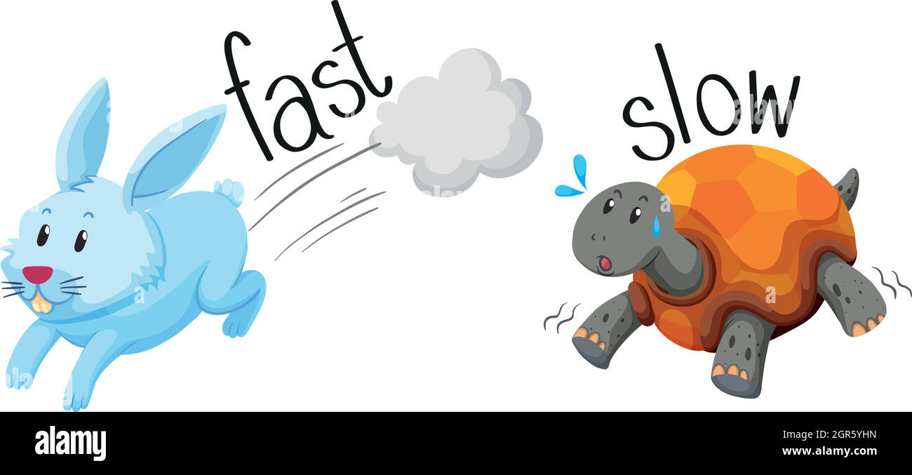 Le lapin court vite et la tortue court lentement Illustration de Vecteur