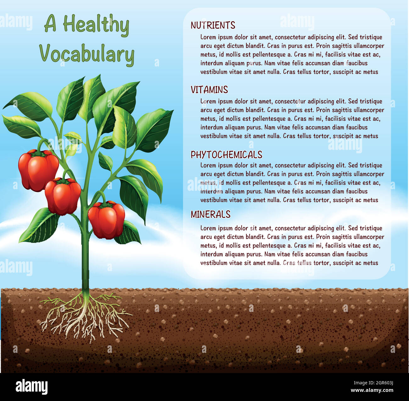 Capsicum plante et conception de texte Illustration de Vecteur