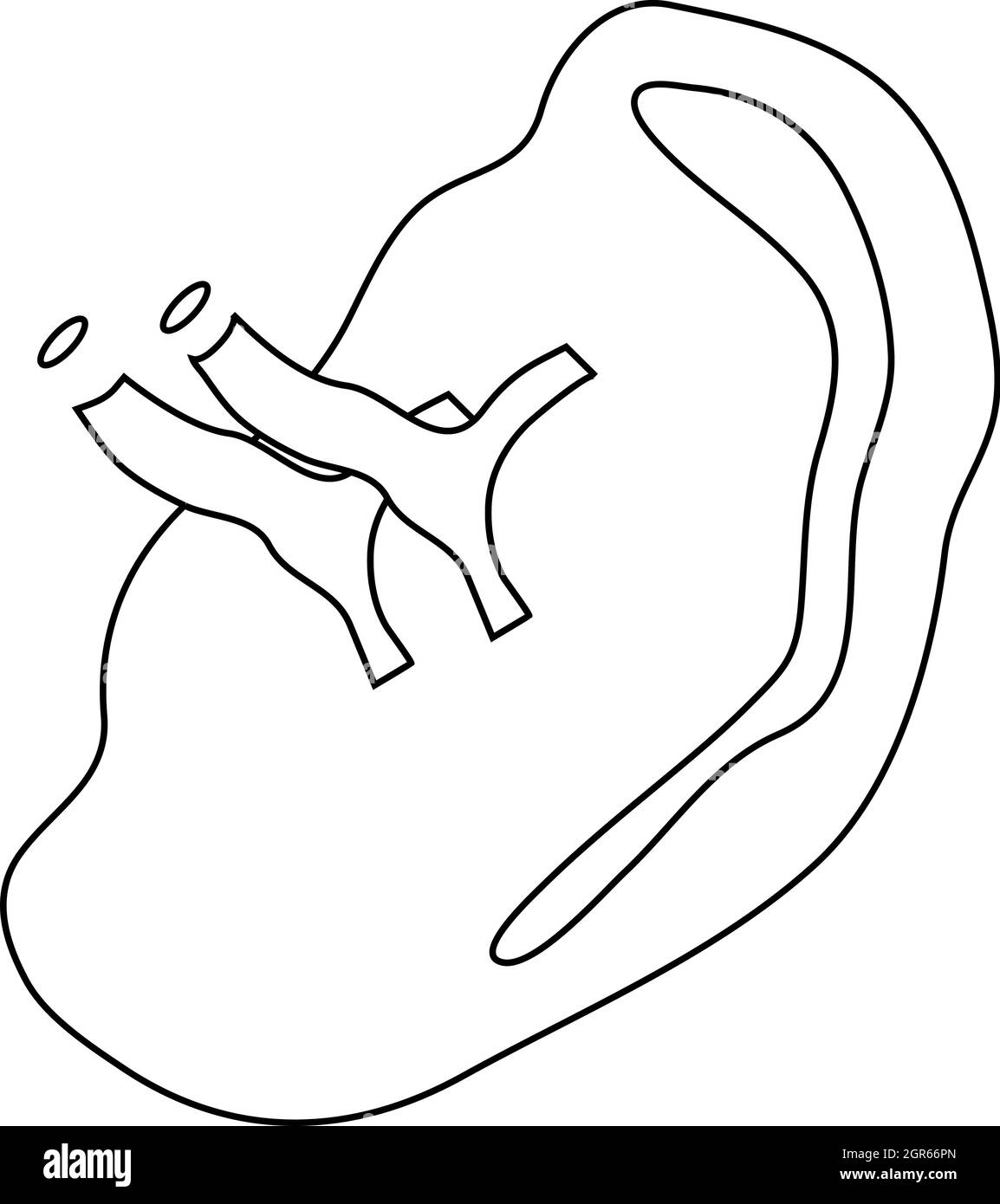 Les droits de la rate, l'icône de style contour Illustration de Vecteur